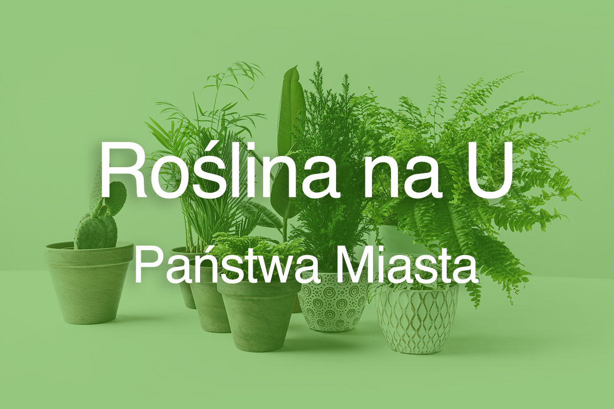 Roślina na U
