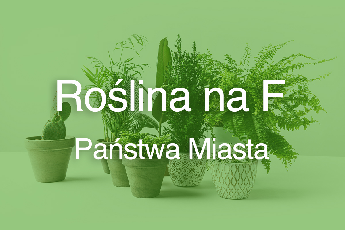 Roślina na F