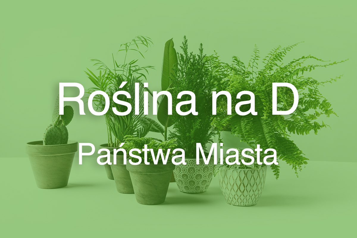 Roślina na literę D